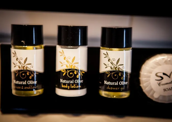 Ippokampos Town Appartement *