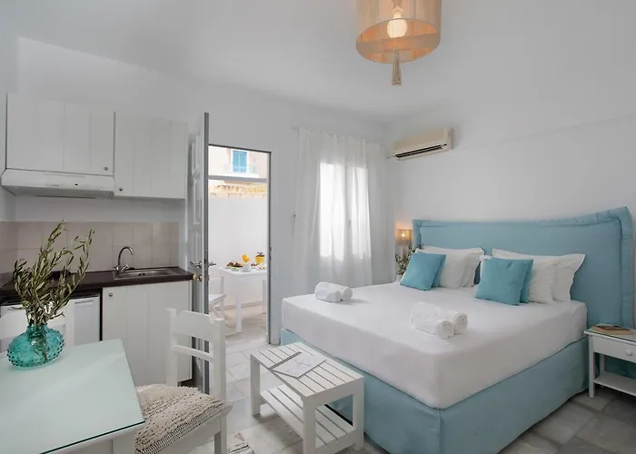 Ippokampos Town Appartement Naxos City